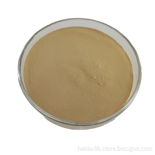 Habio Protease BP100: High-Uncertainty Protease Enzyme for Whole Intestinal Feed